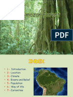 Theamazonforest 101030121522 Phpapp01