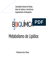 Metabolismo de Lipídios