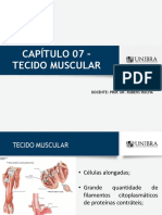 Histologia - Cap. 07 - Tecido Muscular