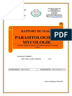 Rapport Stage Parasito Myco