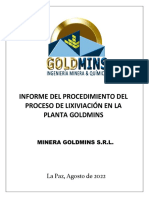 Procedimiento Del Proceso de Lixiviación - Goldmins