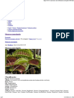 Fichas de Cultivo - Dionaea Muscipula - Pag