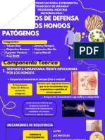 Expo Tema 2 Microbiologia Mecanismo Defensa Hongos