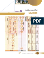 Cell Cycle and Cell Division