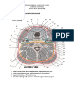 Viscera of Neck Region