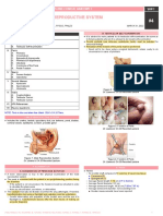 ANA.S4.CA20.Male Reproductive System