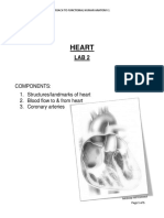 Lab 2 - The Heart