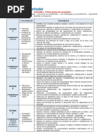 Programación Curricular Anual 1°