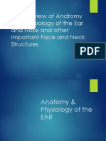 W1-1 Review of Anatomy and Physiology of The Ear and Nose and Other Important Face and Neck Structures - Lecture