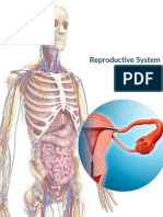 Humane Science Human Reproductive Grade 12 Lesson Plan