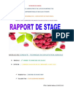 Rapport de Stage 1 Soema Avryl 5