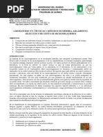 L3 Aislamiento y Recuento de Microorganismos