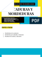 Picaduras y Mordeduras