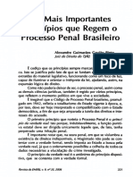 PINTO, Alexandre Guimarães Gavião. Os Mais Importantes Princípios Que Regem o Processo Penal Brasileiro