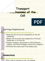 Cellular Transport