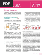 17 A Biologia: Tecido Nervoso