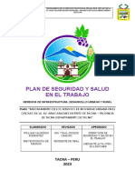 Plan de Seguridad y Salud en El Trabajo