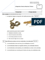 Diagnóstico Ciencias Naturales 2º Básico