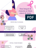 Ruta de Cancer de Seno para Presentar