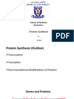 Protein Synthesis