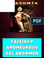 3 - CFC - Fascias Del Abdomen