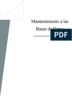 Mantenimiento Base de Datos