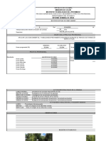 Informe Semana 6