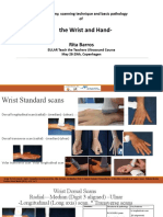 Rita Barros - Wrist - And.hand - EULAR TTT 2022