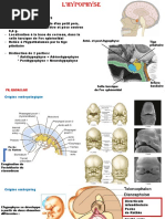 Hypophyse