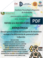 Bioquímica: Profesor: Q.F.B. Julio Rodolfo Aguilar Caamal