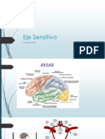 Clase de Eje Sensitivo