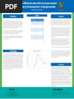 How Do Different PH Values Affect The Enzyme Catalase's Activity in The Decomposition of Hydrogen Peroxide