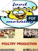 Ansc002 Class Poultry