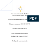 Laboratorio de Neuroanatomia Psicofisiología Ii