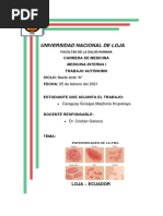 Autónomo N2 Enfermedades de La Piel