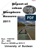 Tour Report of Sunderban Biosphere Reser