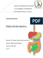 Pólipos Gastrointestinales