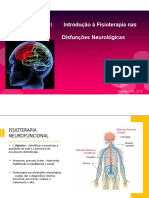 Aula Neuro 1 PDF