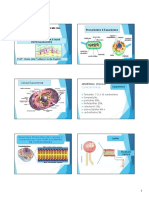 Material 3 - Apostila Membrana PlasmÃ¡tica e EspecializaÃ Ã Es