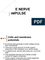 01the Nerve Impulsepc-2