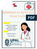 Hormonas Sexuales Masculinas