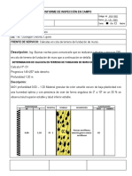 Informe N°-10 - 2021CVA