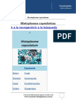 Histoplasma Capsulatum