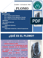 Enfermedades Causadas Por El Plomo