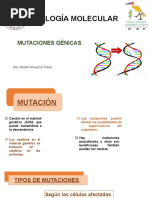 Mutaciones 2022