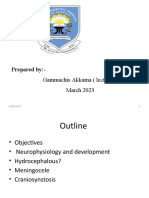 Pediatric Neuro Anesthesia