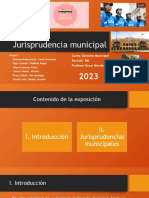 Grupo I - Jurisprudencia Municipal (Coordinador - Pérez Oñate)