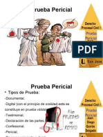 Prueba Pericial Presentación