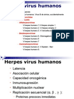 Tema M20 HERPESVIRUSI