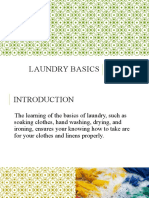 Lesson 2 Laundry Basics